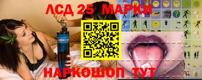 амф Кандалакша
