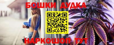 амф Кандалакша