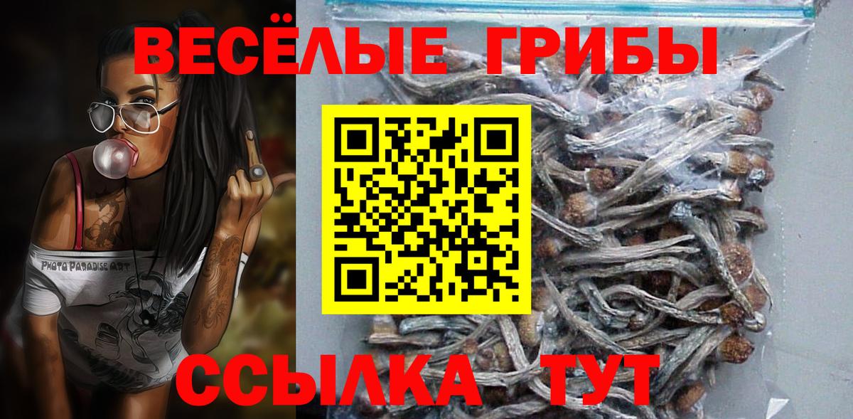 Галлюциногенные грибы мицелий  цена   Галлюциногенные грибы прущие грибы  Краснодар  Вход с VPN 